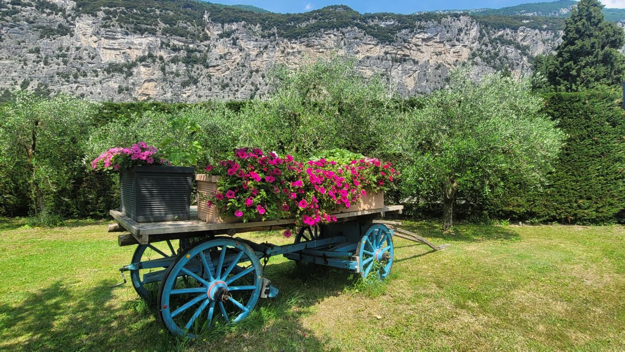Agriturismo Vin E Amor Dro Exterior photo